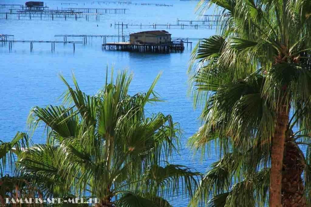 Les Pieds Dans L'Eau Apartment La Seyne-sur-Mer Luaran gambar